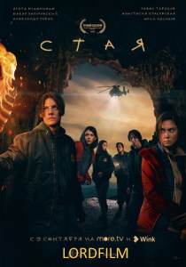 Стая (сериал 2022)